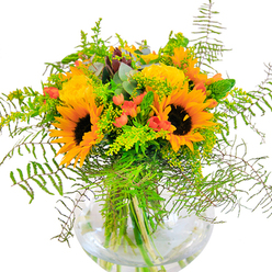 The first impression is pure sunlit energy-the kind that spills through Kenton's leafy avenues on a late August afternoon. This abundant bouquet, arranged in a round, crystal-clear glass vase, features magnificent sunflowers, their faces turned outward and petals rippling in glowing shades of yellow and orange, reminiscent of the golden hour over Kenton Recreation Ground. Among them, clusters of yellow garden roses bloom with classic poise, their tightly packed petals curling into elegant, soft spirals. Scarlet-red hypericum berries gleam between the blossoms, introducing lively sparks of colour that play off the warmth of the sunflowers. The entire piece is woven through with a variety of fresh, verdant greens-cascading fern fronds, airy light-green solidago with clusters of tiny yellow blooms, and slender flower spikes that lift the arrangement skyward. Subtle touches of bluish-green eucalyptus peek out at the edges, enhancing the rustic, locally inspired feel of the bouquet. The glass vase, reminiscent of the fishbowls found on windowsills throughout Kenton, reveals the stems submerged in clear water, adding a serene sense of depth and grounding. This bouquet evokes the joy of local festivals, garden parties, and heartfelt celebrations-its scent a gentle blend of green freshness and floral sweetness. Whether gifted for a birthday, to commemorate an anniversary, or simply to brighten a home near Uxendon Hill, this meticulously handcrafted arrangement is a tribute to happiness and the vibrant life of Kenton.
